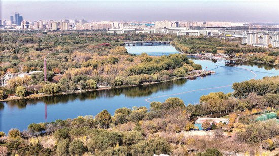 北京城市副中心和大运河森林公园。新华社发